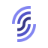 SolanaFM